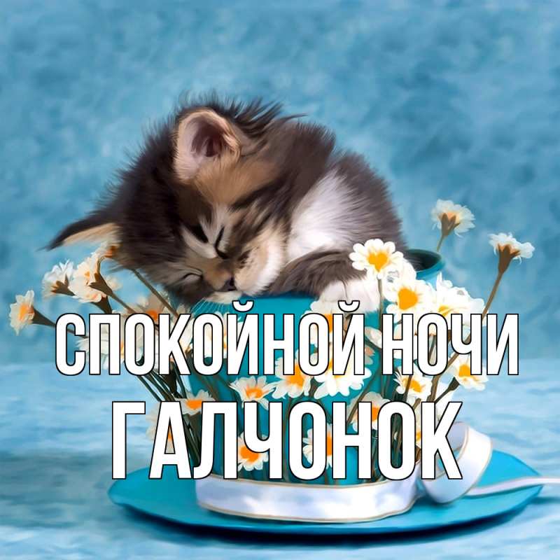 Картинка Спокойной ночи, галчонок