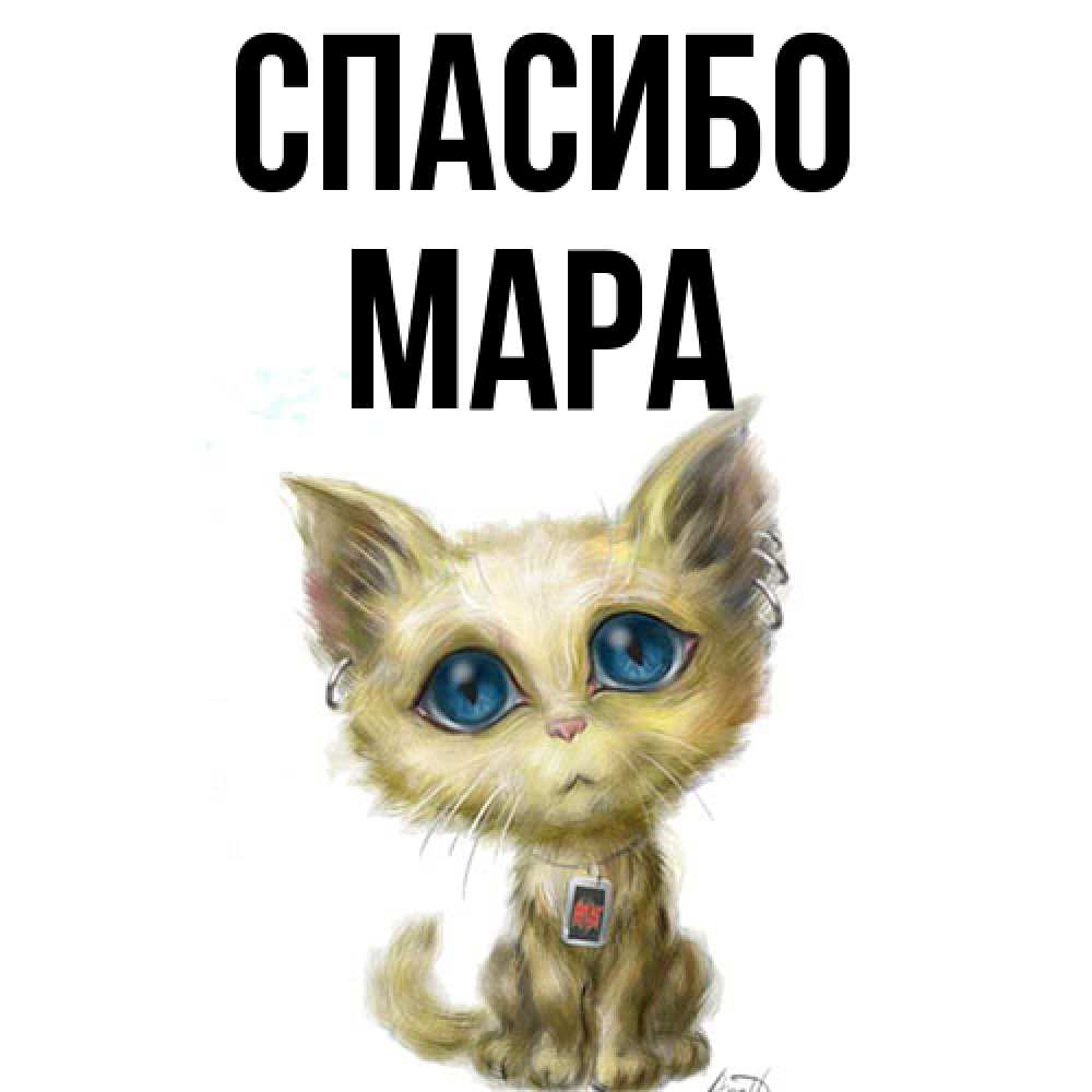 Открытка на каждый день с именем, Мара Спасибо рисованный кот благодарит вас Прикольная открытка с пожеланием онлайн скачать бесплатно 