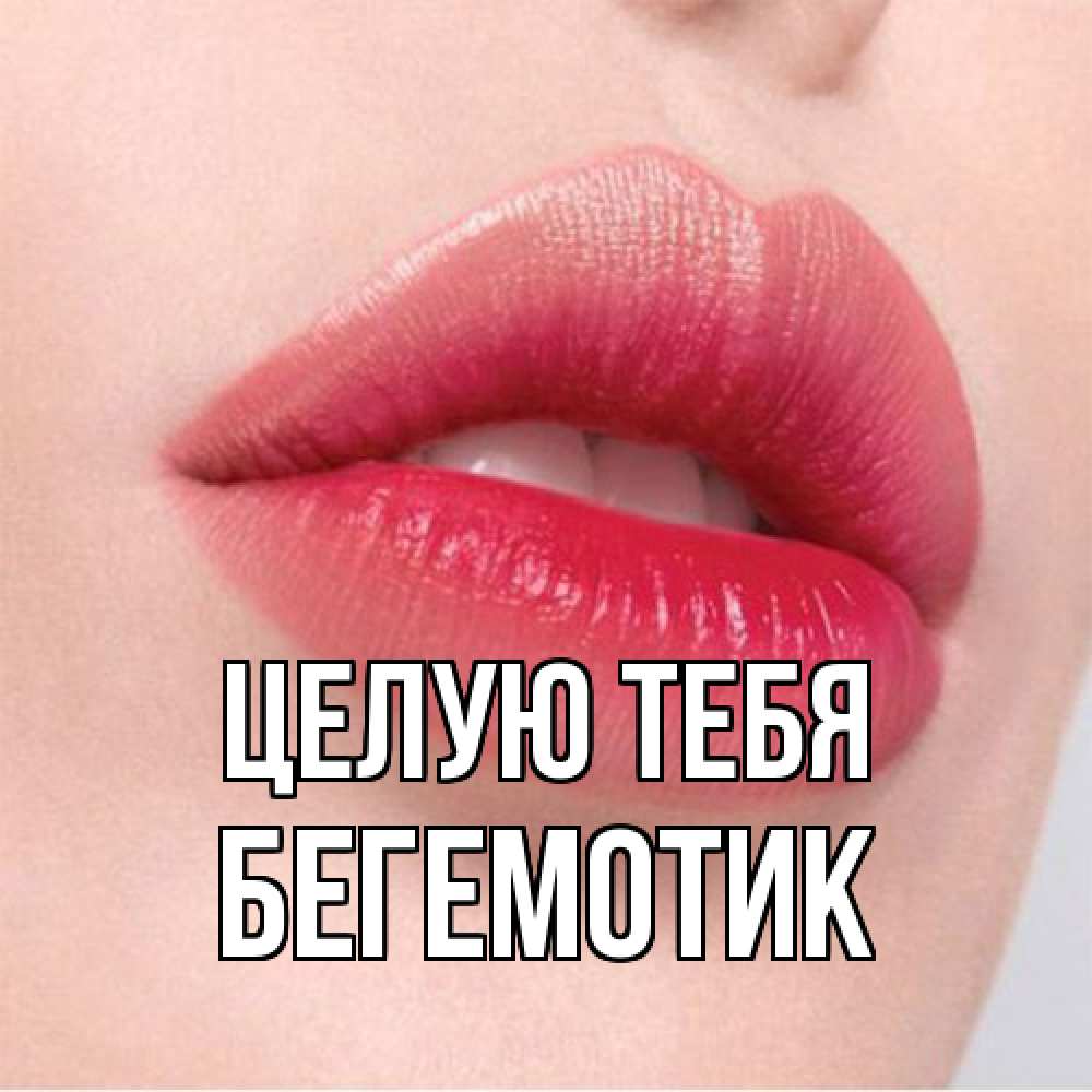 Открытка на каждый день с именем, Бегемотик Целую тебя губы зубки и нежная кожа Прикольная открытка с пожеланием онлайн скачать бесплатно 