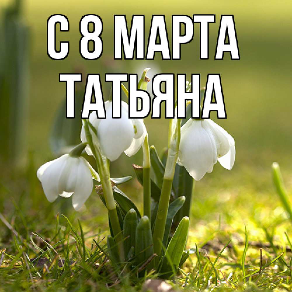 Открытка на каждый день с именем, Татьяна C 8 МАРТА ранние цветы 2 Прикольная открытка с пожеланием онлайн скачать бесплатно 