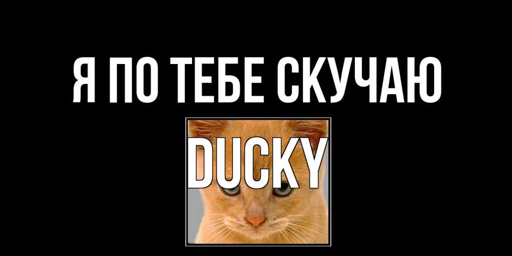 Открытка на каждый день с именем, Ducky Я по тебе скучаю открытки рыжий котенок скучает по тебе Прикольная открытка с пожеланием онлайн скачать бесплатно 