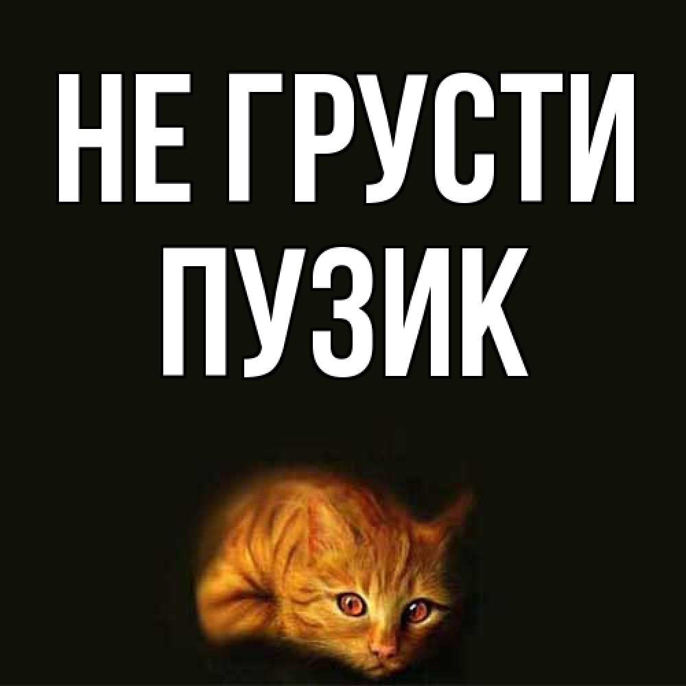 Открытка на каждый день с именем, Пузик Не грусти лежащий кот в темноте Прикольная открытка с пожеланием онлайн скачать бесплатно 