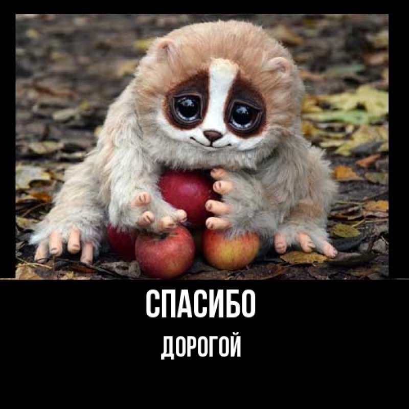 Картинка Спасибо, Дорогой