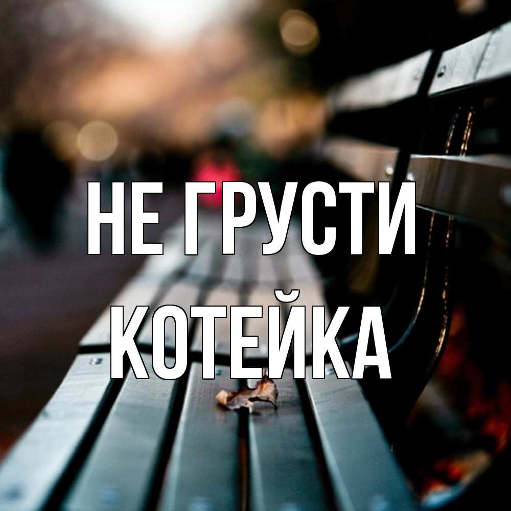 Открытка на каждый день с именем, Котейка Не грусти размытый фон Прикольная открытка с пожеланием онлайн скачать бесплатно 
