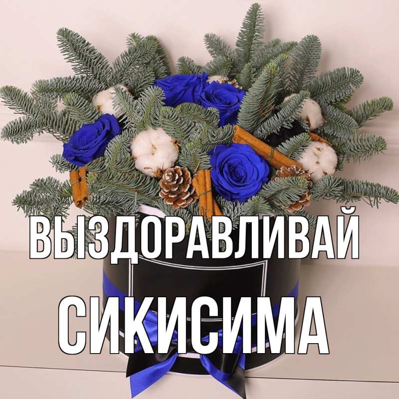 Картинка Выздоравливай, Сикисима