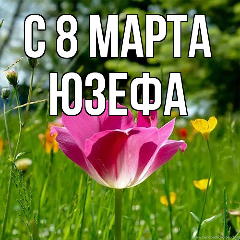 Открытка на каждый день с именем, Юзефа C 8 МАРТА полевые цветы Прикольная открытка с пожеланием онлайн скачать бесплатно 