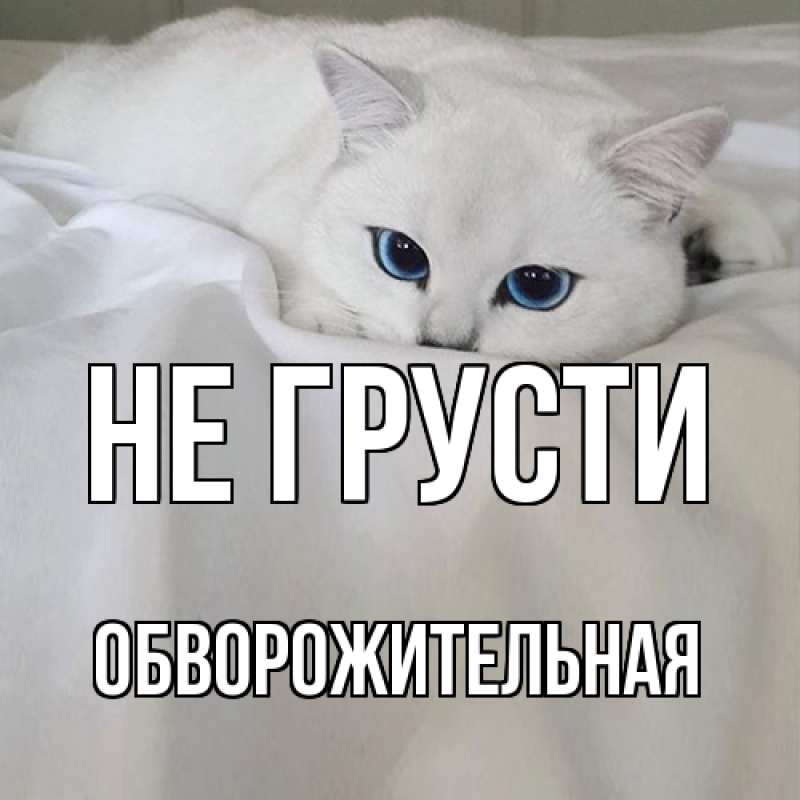 Картинка Не грусти, Обвоpожительная