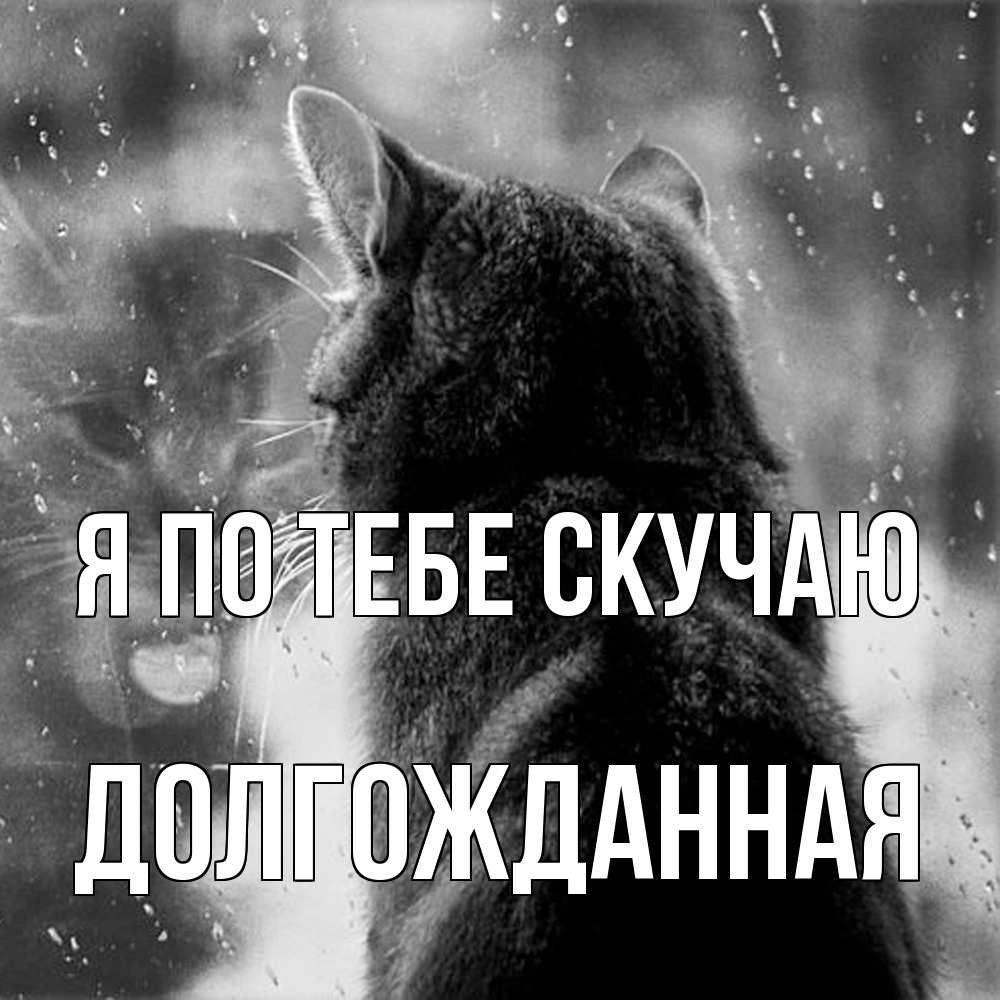 Открытка на каждый день с именем, Долгожданная Я по тебе скучаю скорее ко мне приходи 1 Прикольная открытка с пожеланием онлайн скачать бесплатно 