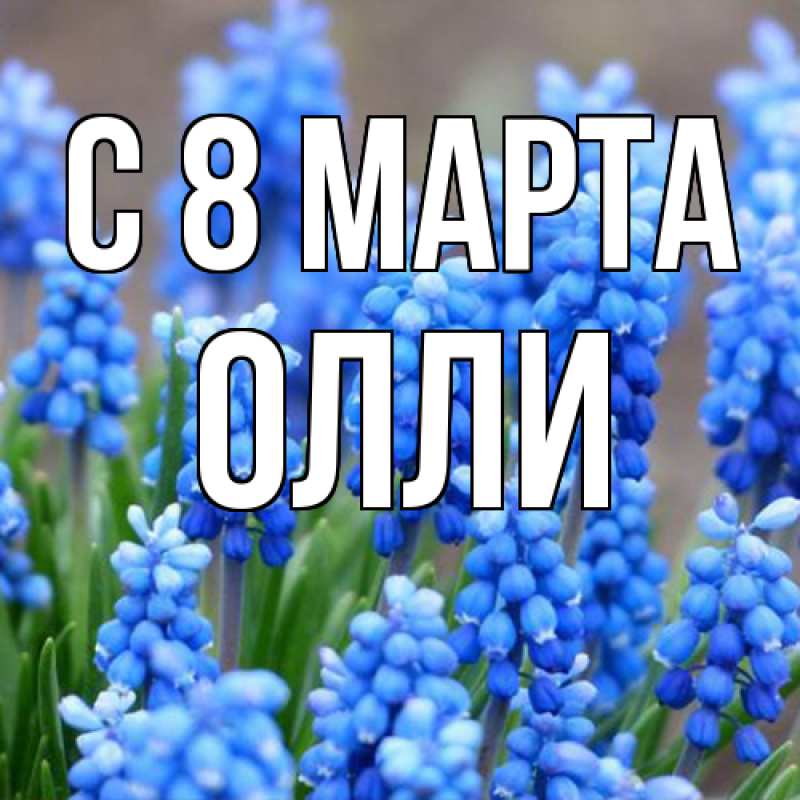 Картинка C 8 МАРТА, Олли
