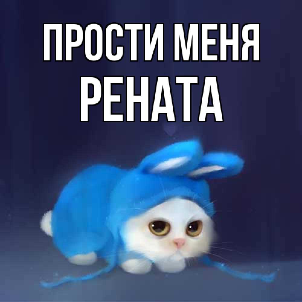 Открытка на каждый день с именем, Рената Прости меня невинный котозай просит прощения Прикольная открытка с пожеланием онлайн скачать бесплатно 