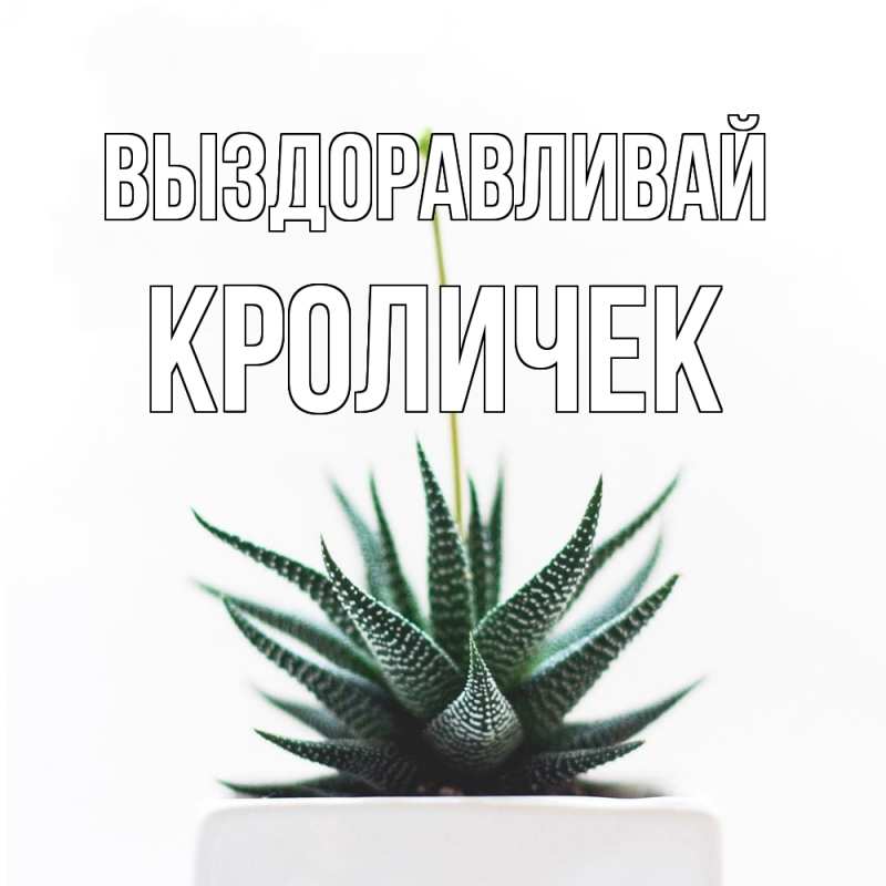 Картинка Выздоравливай, кроличек