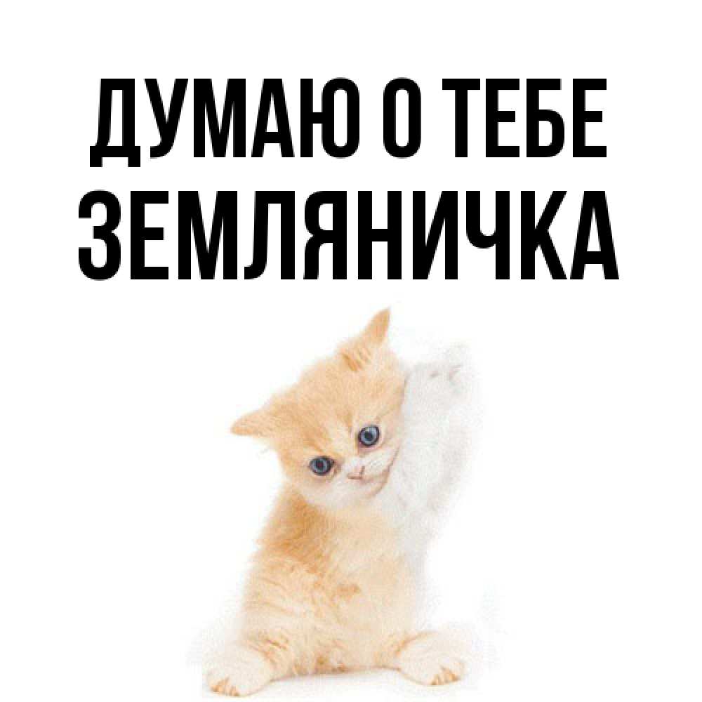 Открытка на каждый день с именем, Земляничка Думаю о тебе зверушки и милота Прикольная открытка с пожеланием онлайн скачать бесплатно 