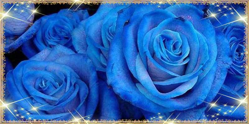 Картинка C 8 МАРТА, игривая