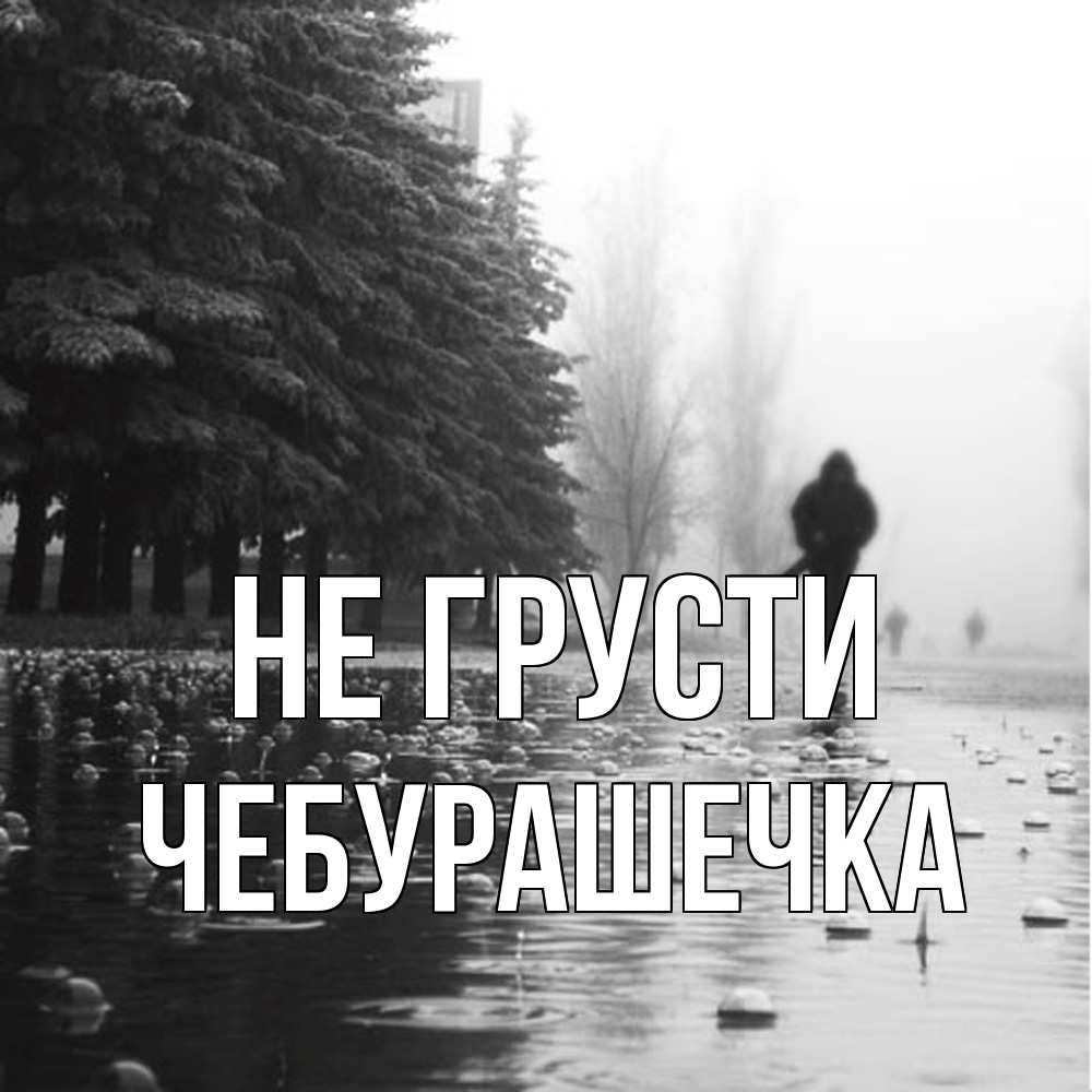 Открытка на каждый день с именем, Чебурашечка Не грусти улица под дождем Прикольная открытка с пожеланием онлайн скачать бесплатно 