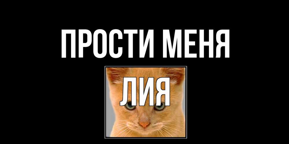 Открытка на каждый день с именем, Лия Прости меня рыжий грустный кот просит прощения Прикольная открытка с пожеланием онлайн скачать бесплатно 