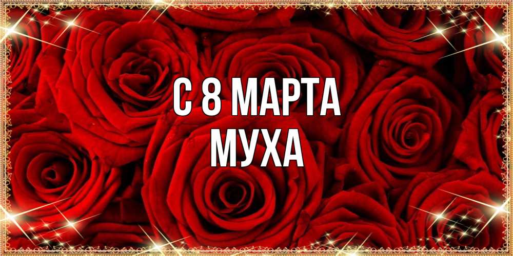 Открытка на каждый день с именем, Муха C 8 МАРТА открытка для любимой Прикольная открытка с пожеланием онлайн скачать бесплатно 