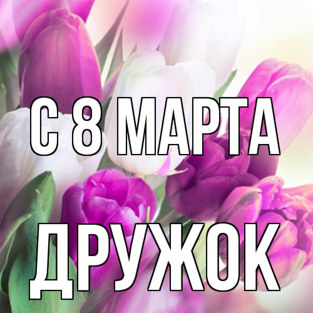 Открытка на каждый день с именем, Дружок C 8 МАРТА весна 1 Прикольная открытка с пожеланием онлайн скачать бесплатно 