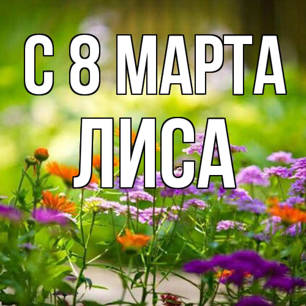 Открытка на каждый день с именем, лиса C 8 МАРТА цветы Прикольная открытка с пожеланием онлайн скачать бесплатно 