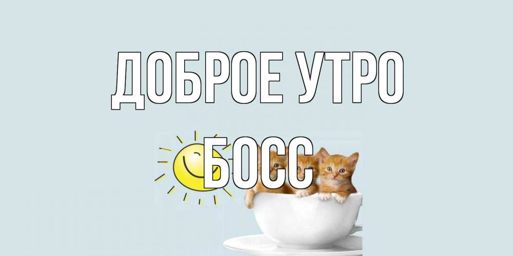Открытка на каждый день с именем, Босс Доброе утро котята Прикольная открытка с пожеланием онлайн скачать бесплатно 
