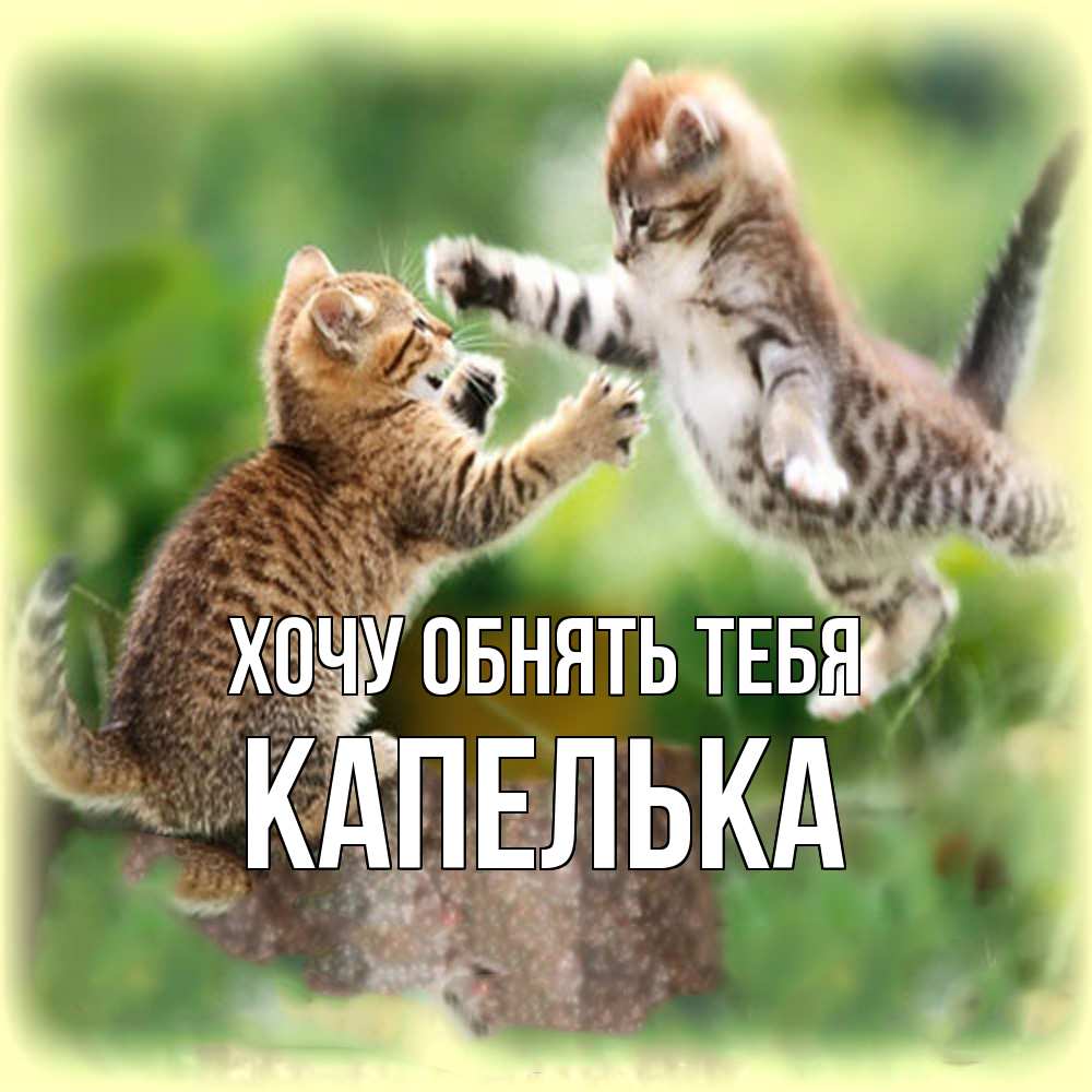 Открытка на каждый день с именем, Капелька Хочу обнять тебя игры котят Прикольная открытка с пожеланием онлайн скачать бесплатно 