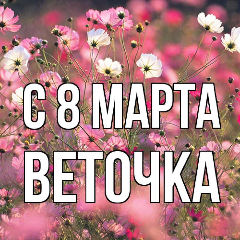 Картинка C 8 МАРТА, Веточка