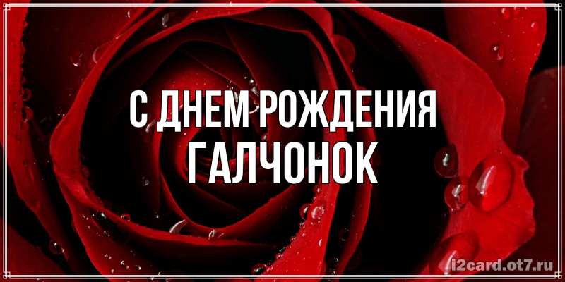 Картинка С днем рождения, галчонок