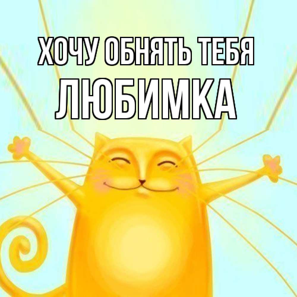 Открытка на каждый день с именем, Любимка Хочу обнять тебя солнечный обнимашечный кот Прикольная открытка с пожеланием онлайн скачать бесплатно 