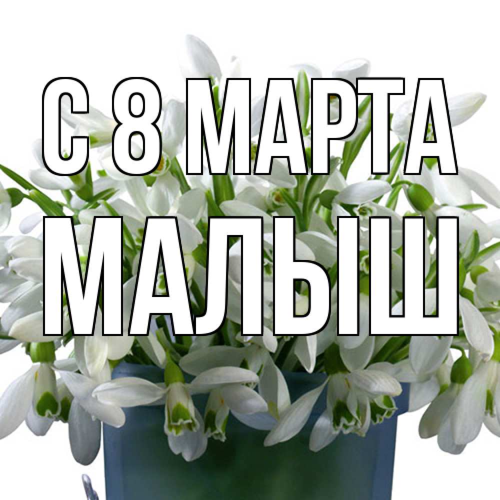 Открытка на каждый день с именем, Малыш C 8 МАРТА цветы к международному женскому дню Прикольная открытка с пожеланием онлайн скачать бесплатно 