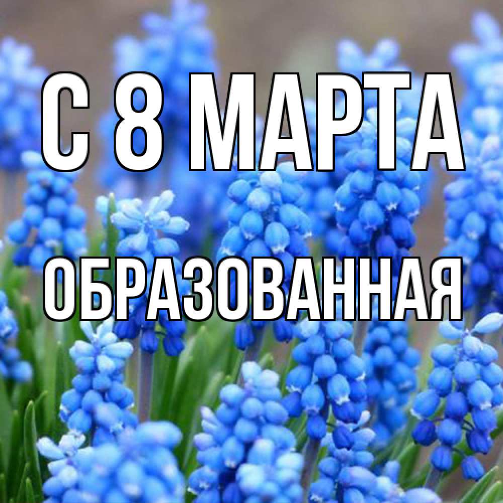 Открытка на каждый день с именем, Образованная C 8 МАРТА Поздравительная открытка для женщин с цветами на праздничную дату Прикольная открытка с пожеланием онлайн скачать бесплатно 
