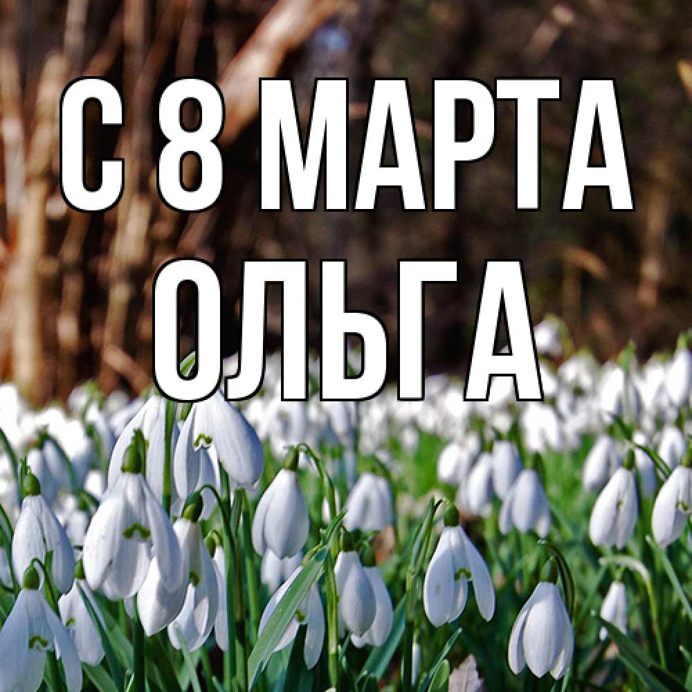 Открытка на каждый день с именем, Ольга C 8 МАРТА с подснежниками 1 Прикольная открытка с пожеланием онлайн скачать бесплатно 