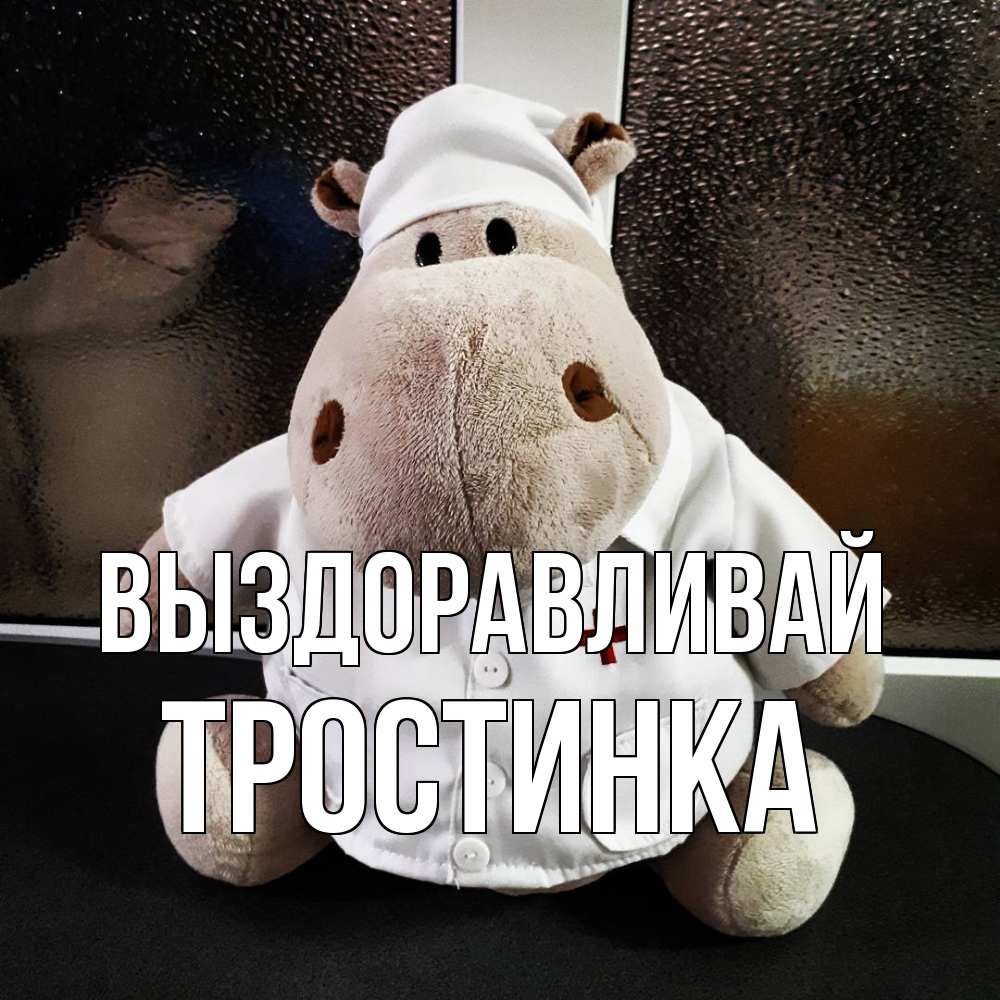 Открытка на каждый день с именем, Тростинка Выздоравливай всех излечит исцелит Прикольная открытка с пожеланием онлайн скачать бесплатно 