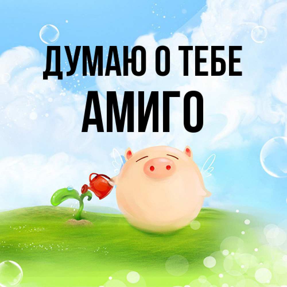 Открытка на каждый день с именем, Амиго Думаю о тебе позитивная свинюшка Прикольная открытка с пожеланием онлайн скачать бесплатно 