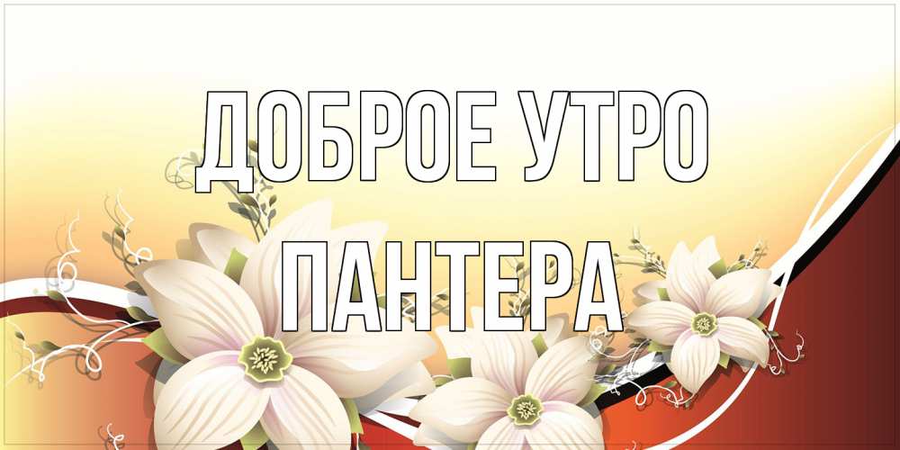 Открытка на каждый день с именем, Пантера Доброе утро пожелания доброго утра Прикольная открытка с пожеланием онлайн скачать бесплатно 