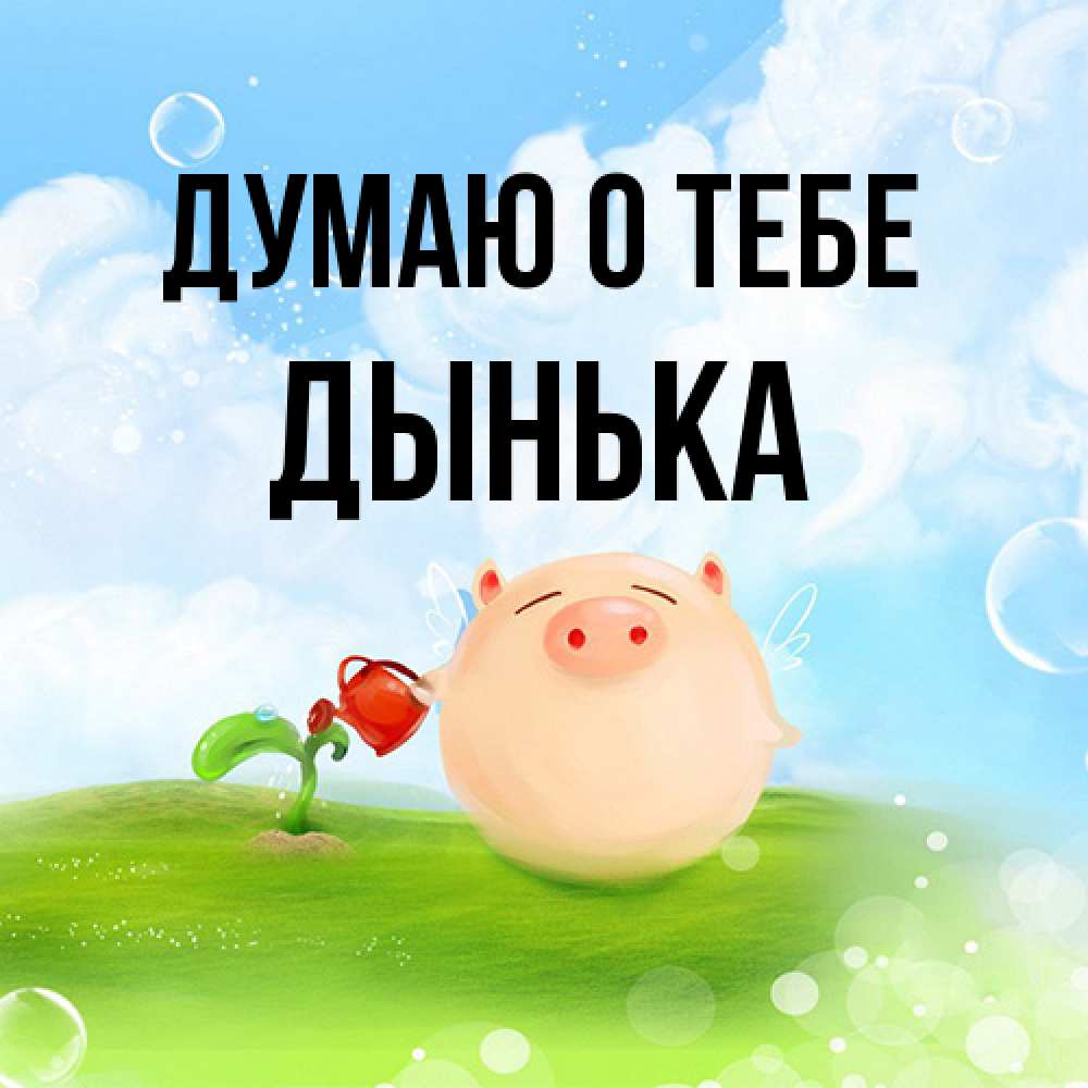 Открытка на каждый день с именем, Дынька Думаю о тебе позитивная свинюшка Прикольная открытка с пожеланием онлайн скачать бесплатно 