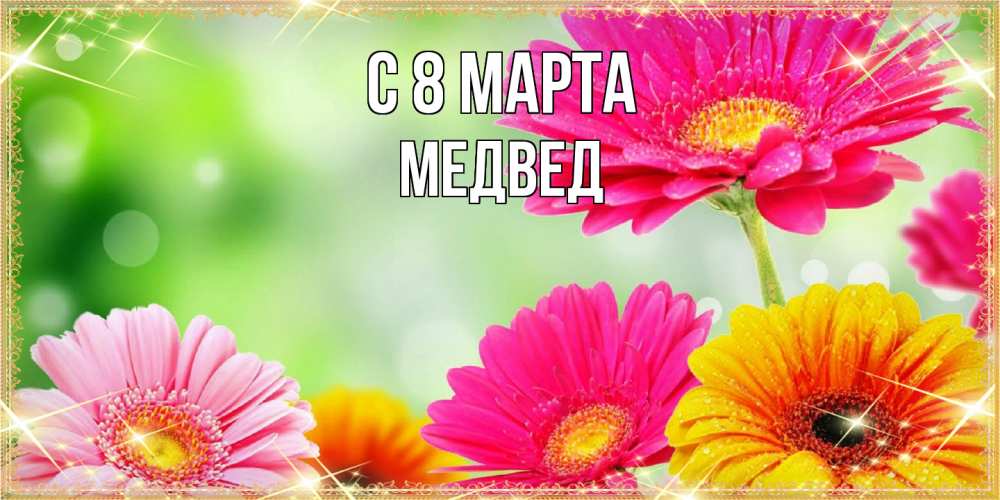Открытка на каждый день с именем, Медвед C 8 МАРТА цветочки для любимой женщины Прикольная открытка с пожеланием онлайн скачать бесплатно 