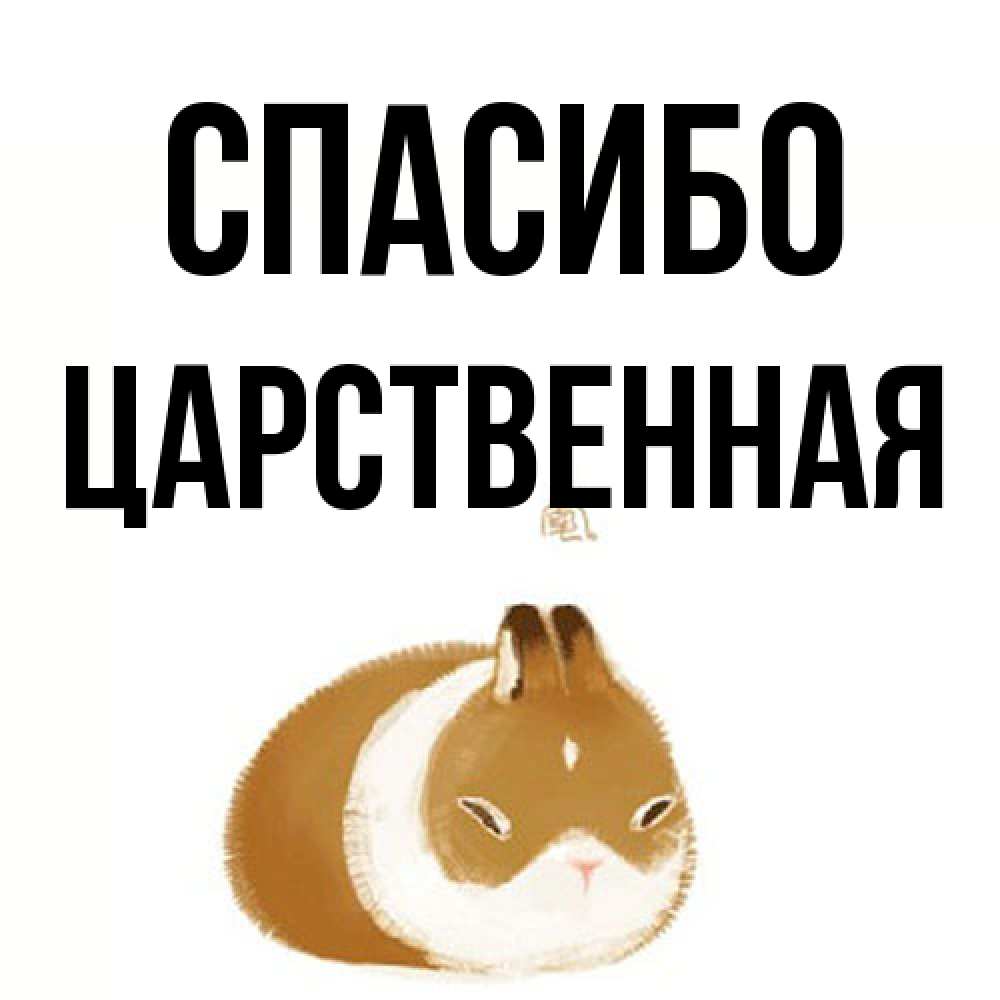 Открытка на каждый день с именем, Цаpственная Спасибо коричнево белый домашний питомец Прикольная открытка с пожеланием онлайн скачать бесплатно 