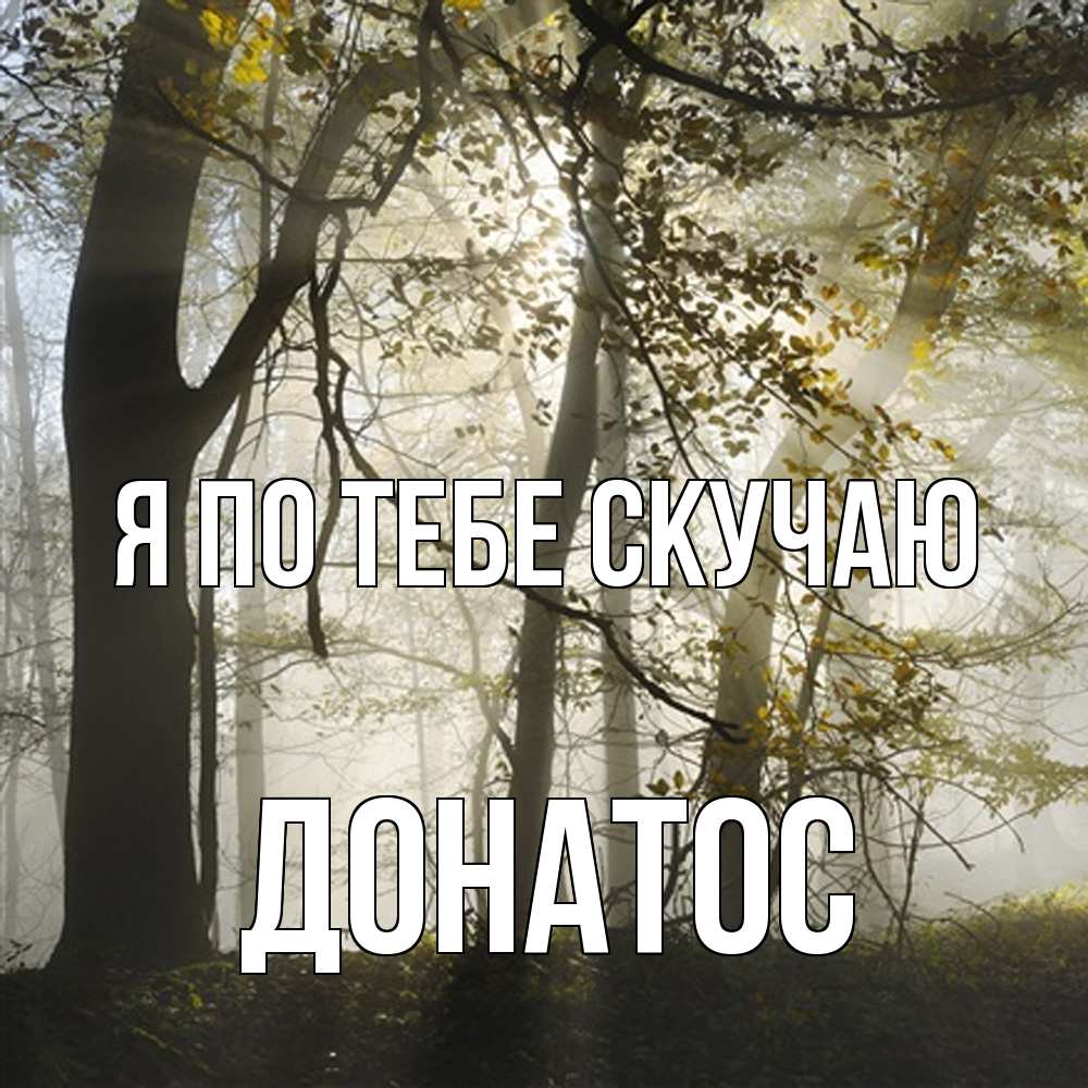 Открытка на каждый день с именем, Донатос Я по тебе скучаю грустно Прикольная открытка с пожеланием онлайн скачать бесплатно 