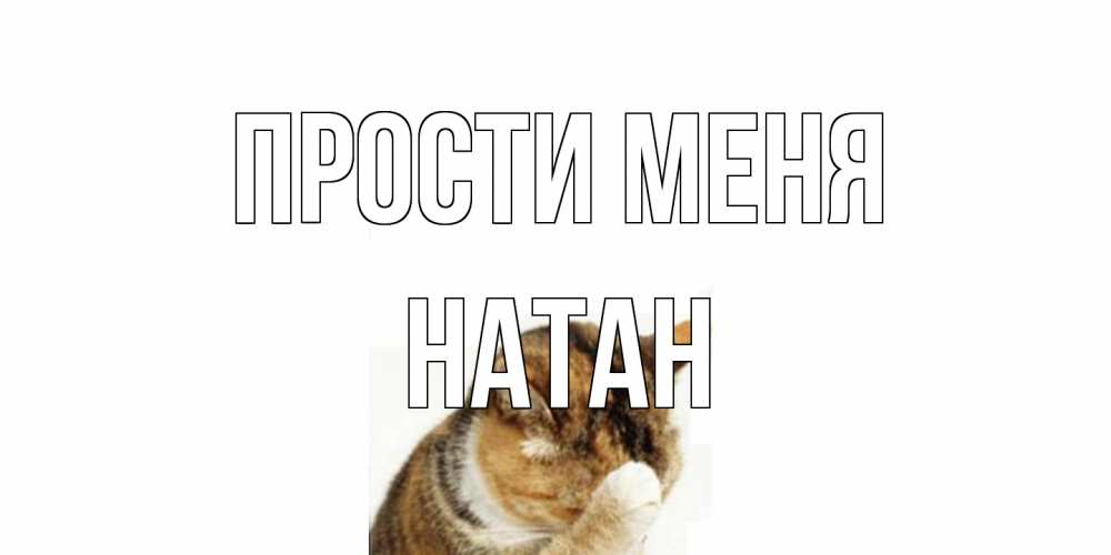 Открытка на каждый день с именем, Натан Прости меня кот Прикольная открытка с пожеланием онлайн скачать бесплатно 