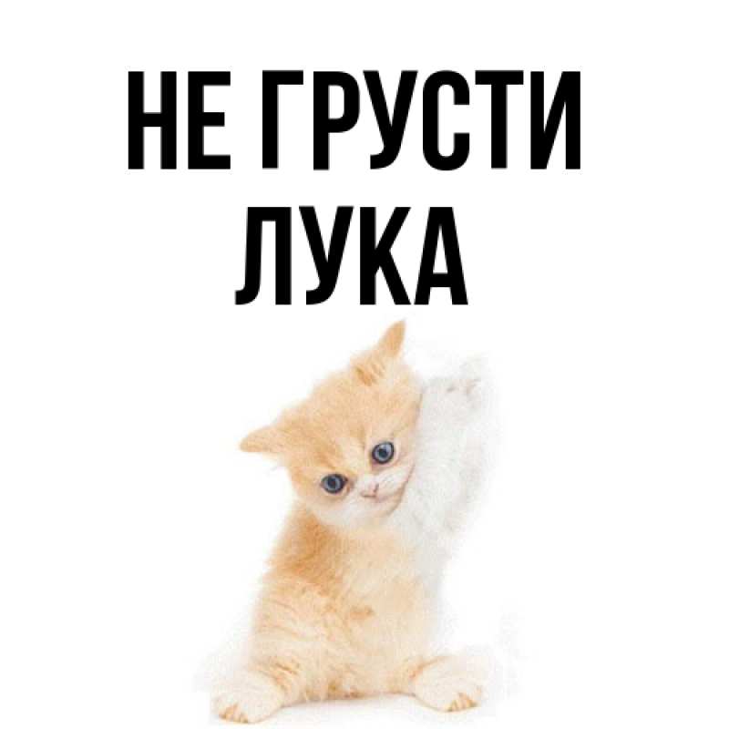 Картинка Не грусти, Лука