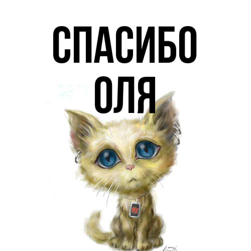 Открытка на каждый день с именем, Оля Спасибо рисованный кот благодарит вас Прикольная открытка с пожеланием онлайн скачать бесплатно 