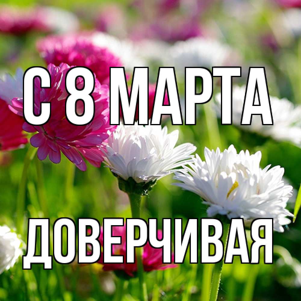 Открытка на каждый день с именем, Доверчивая C 8 МАРТА международный женский день 1 Прикольная открытка с пожеланием онлайн скачать бесплатно 