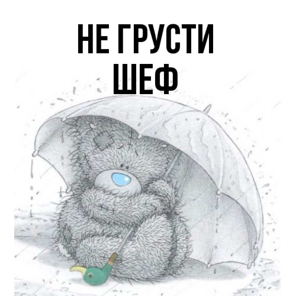 Открытка на каждый день с именем, Шеф Не грусти спасите мишку Тедди Прикольная открытка с пожеланием онлайн скачать бесплатно 