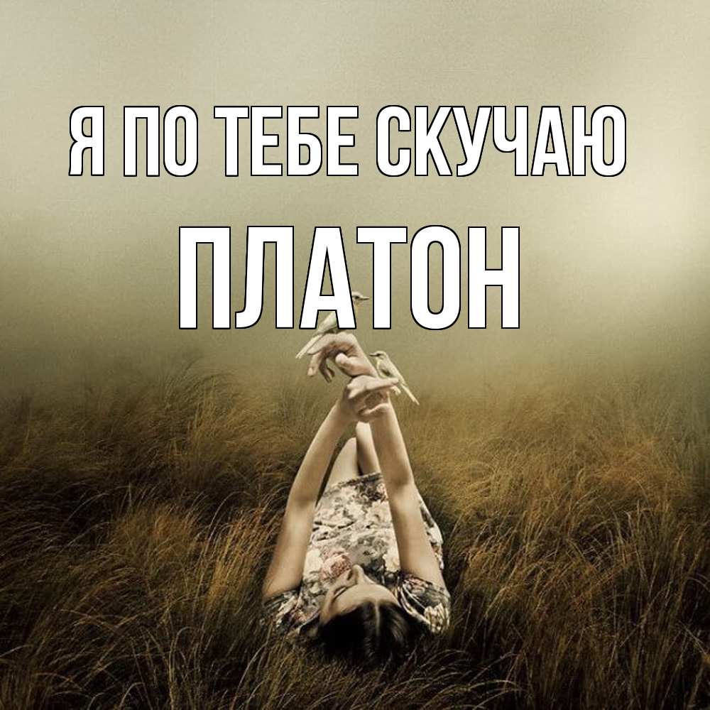 Открытка на каждый день с именем, Платон Я по тебе скучаю девушка с голубями Прикольная открытка с пожеланием онлайн скачать бесплатно 