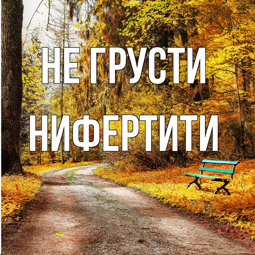 Открытка на каждый день с именем, Нифертити Не грусти зеленая лавочка Прикольная открытка с пожеланием онлайн скачать бесплатно 
