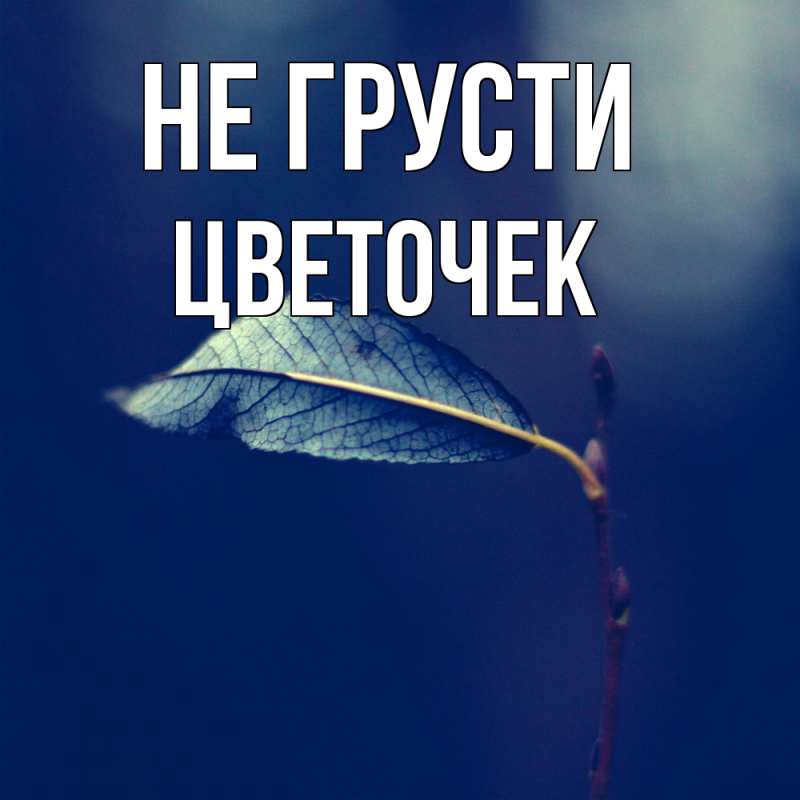 Картинка Не грусти, Цветочек