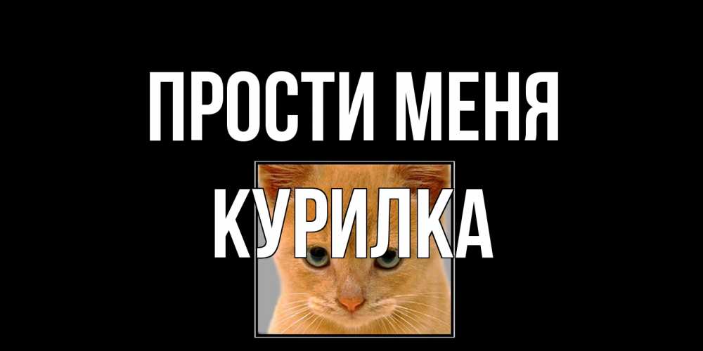 Открытка на каждый день с именем, Курилка Прости меня рыжий грустный кот просит прощения Прикольная открытка с пожеланием онлайн скачать бесплатно 