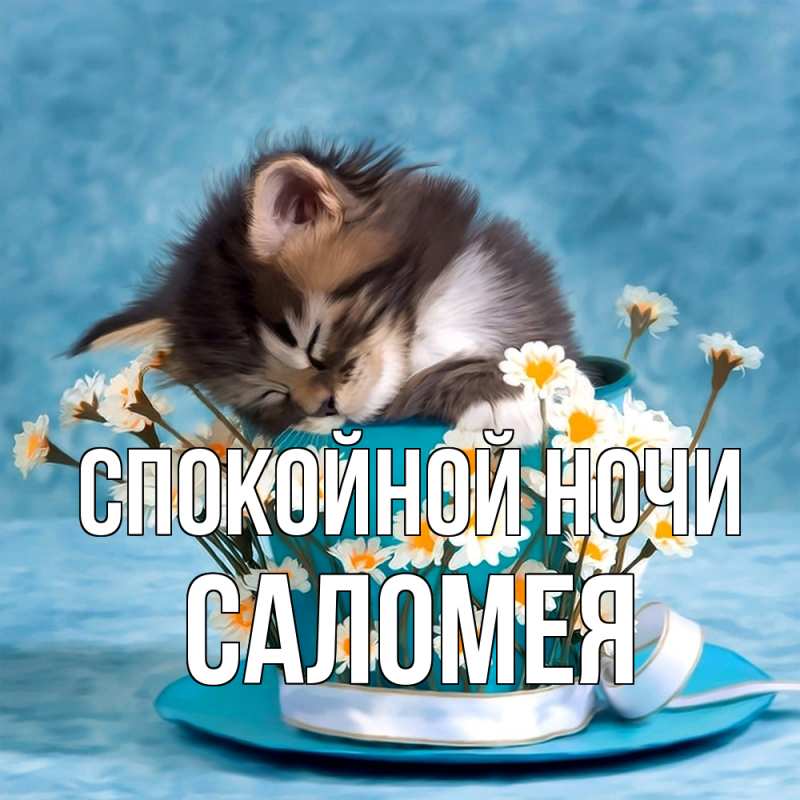 Открытка с именем, Саломея, Спокойной ночи