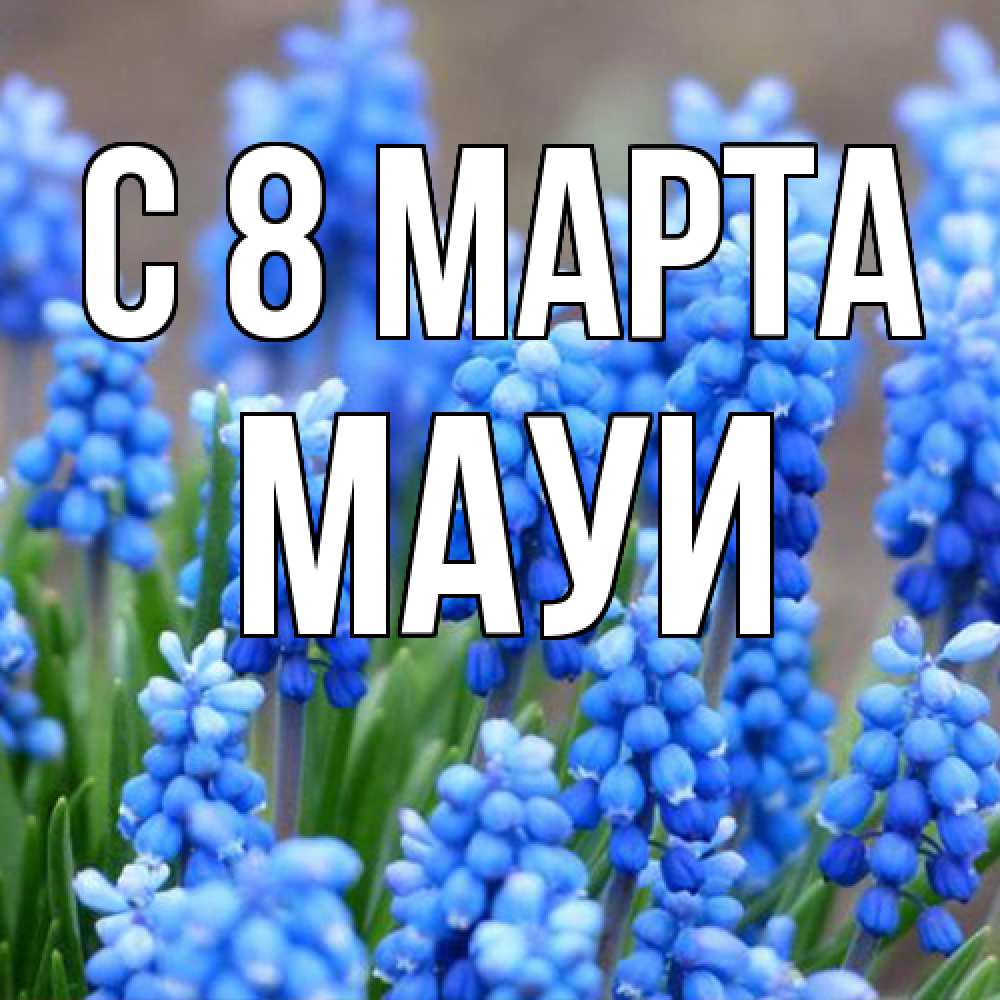 Открытка на каждый день с именем, Мауи C 8 МАРТА Поздравительная открытка для женщин с цветами на праздничную дату Прикольная открытка с пожеланием онлайн скачать бесплатно 