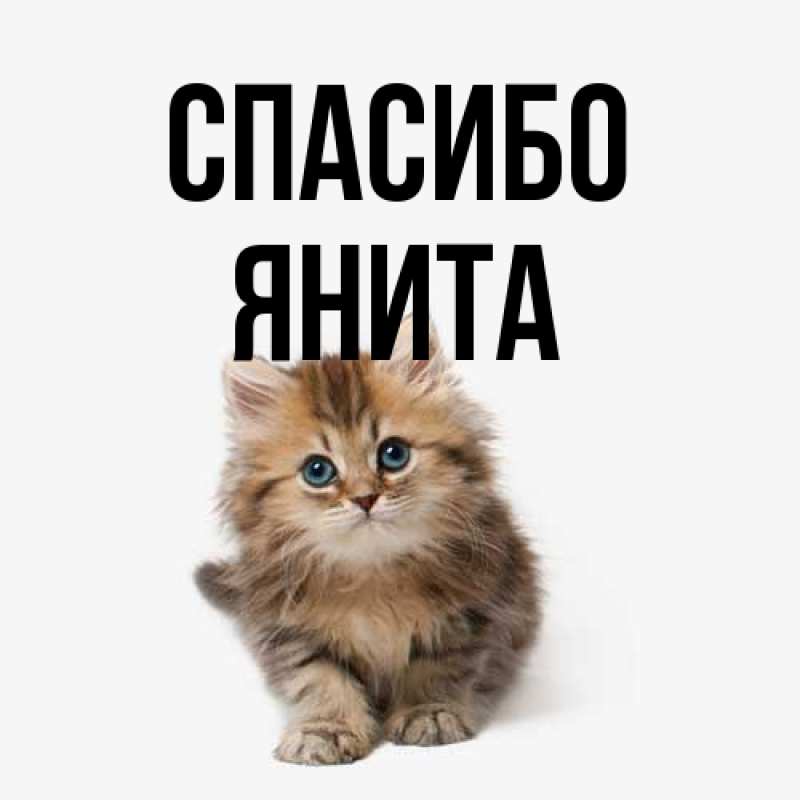 Картинка Спасибо, Янита