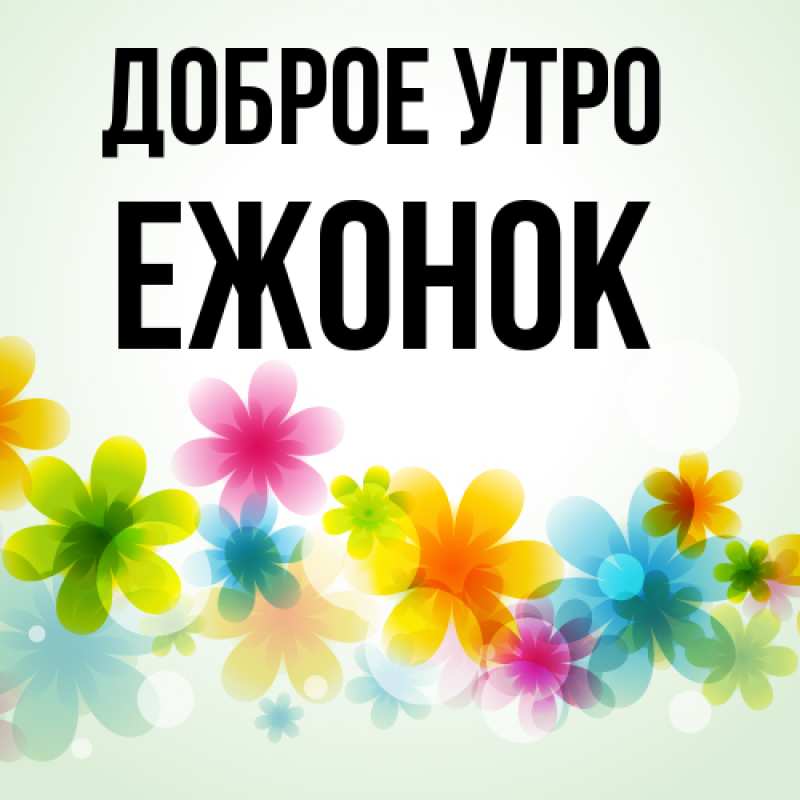 Картинка Доброе утро, Ежонок